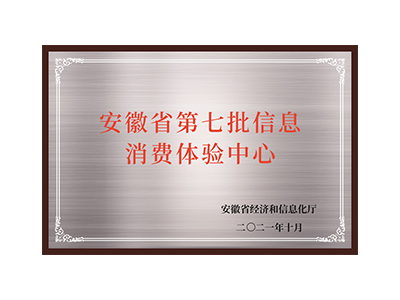 Седьмая партия центров опыта потребления информации в провинции Аньхой