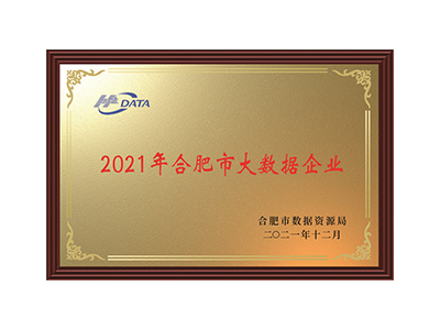 Хэфэйское предприятие больших данных в 2021 году