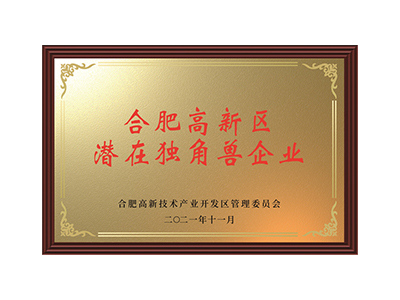 Потенциальные компании-единороги в зоне высоких технологий Хэфэй