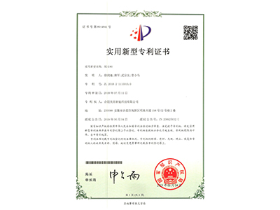 201821110010.0-201821110010